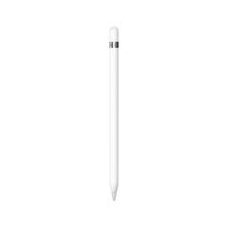 Apple Pencil Gen1 With USB-C Adapter ( MQLY3ZA/A):1Y